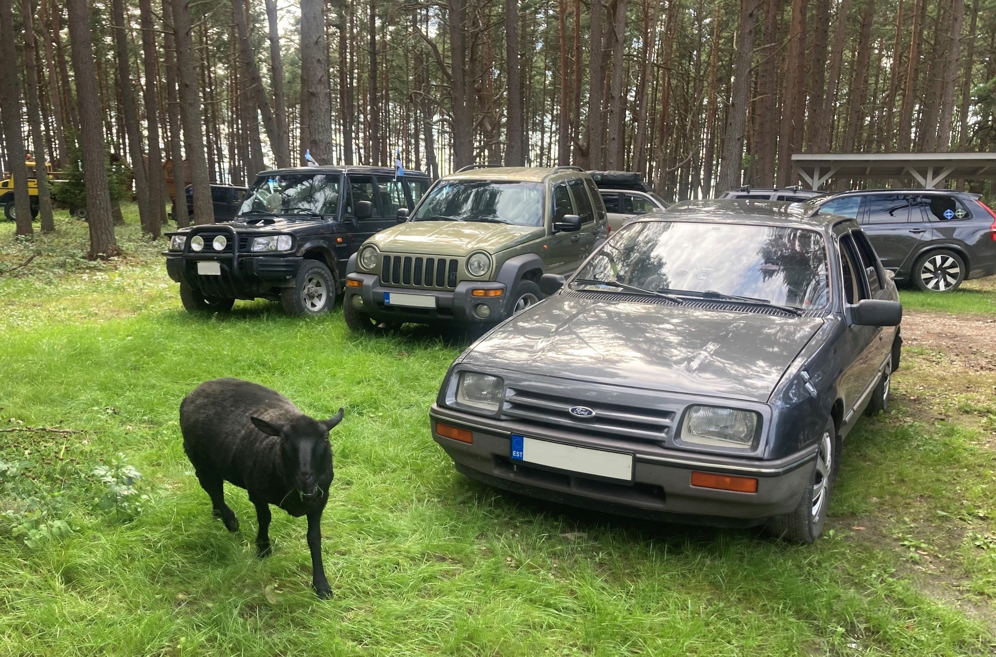 Autoorienteerumine Vormsi